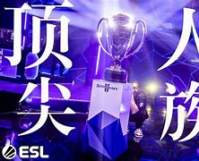 《退役不退圈：那些转型成功的前职业选手》