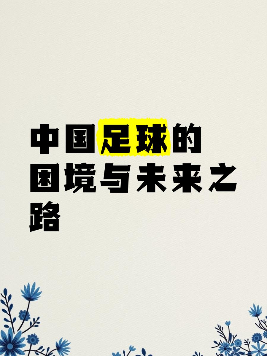 中国足球的未来：归化球员是出路吗？的简单介绍