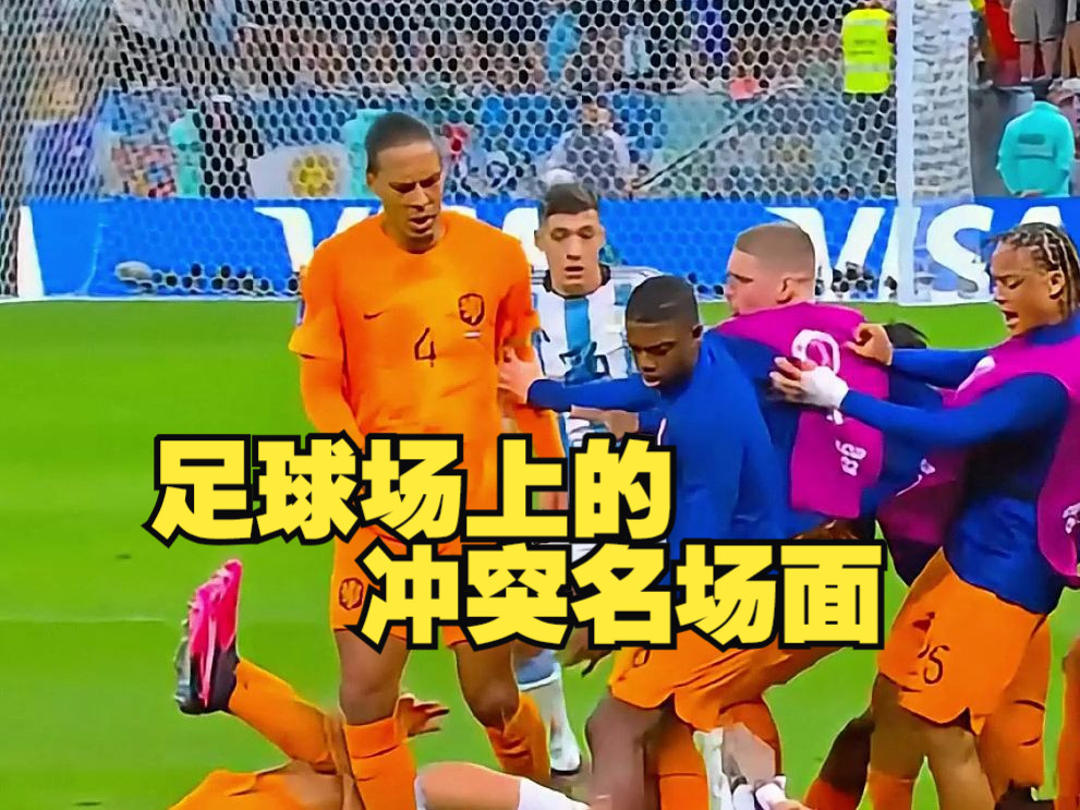 足球场上的动物入侵名场面的简单介绍